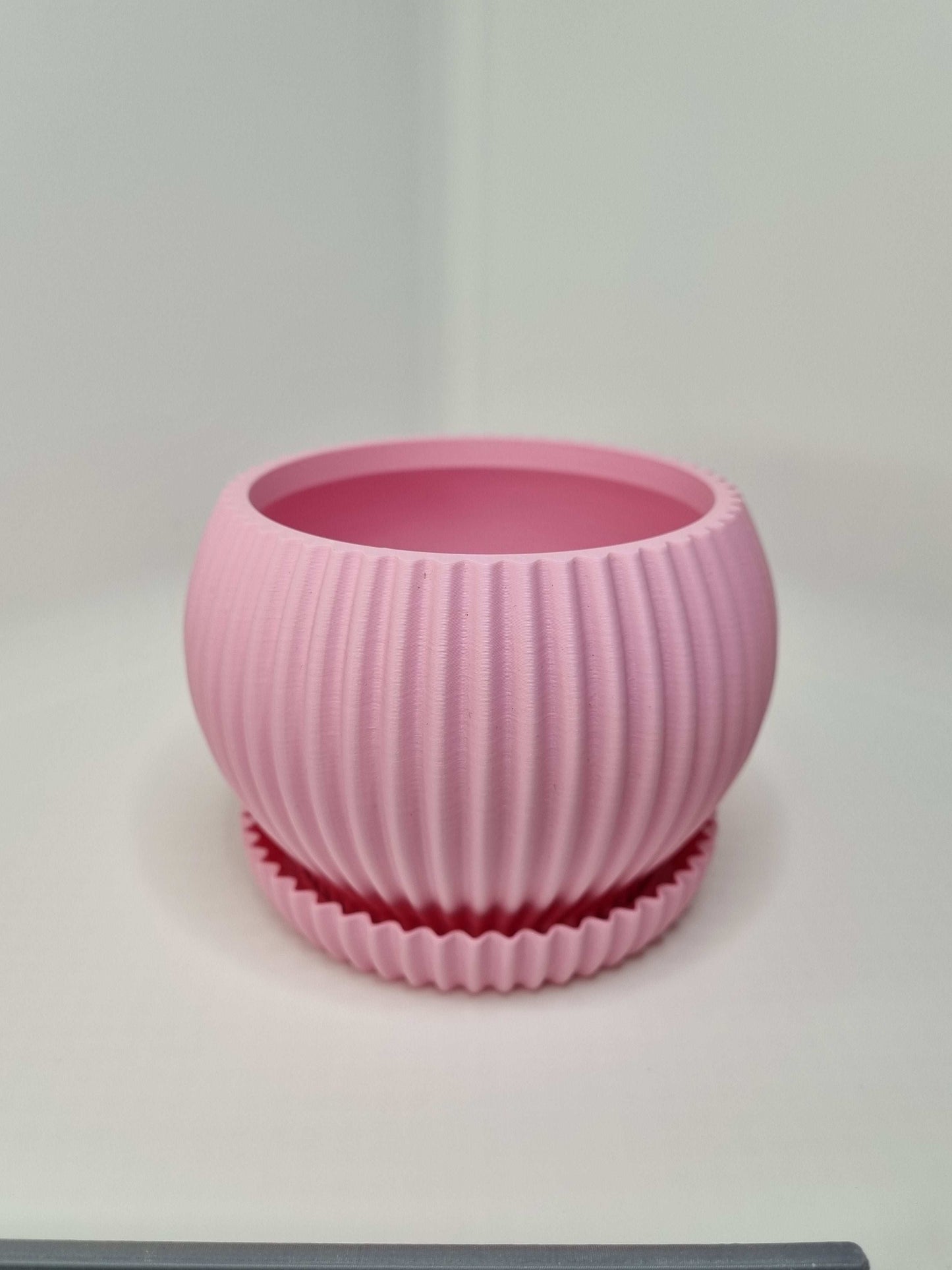Indoor Succulent Planter Pot